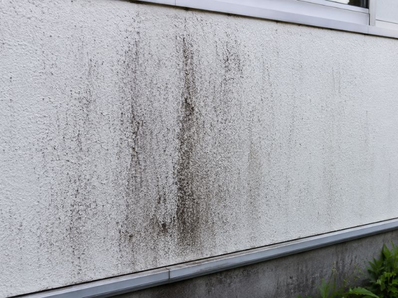 白い外壁塗装は汚れが目立つ？知っておきたい特徴と美しさを長持ちさせる対策